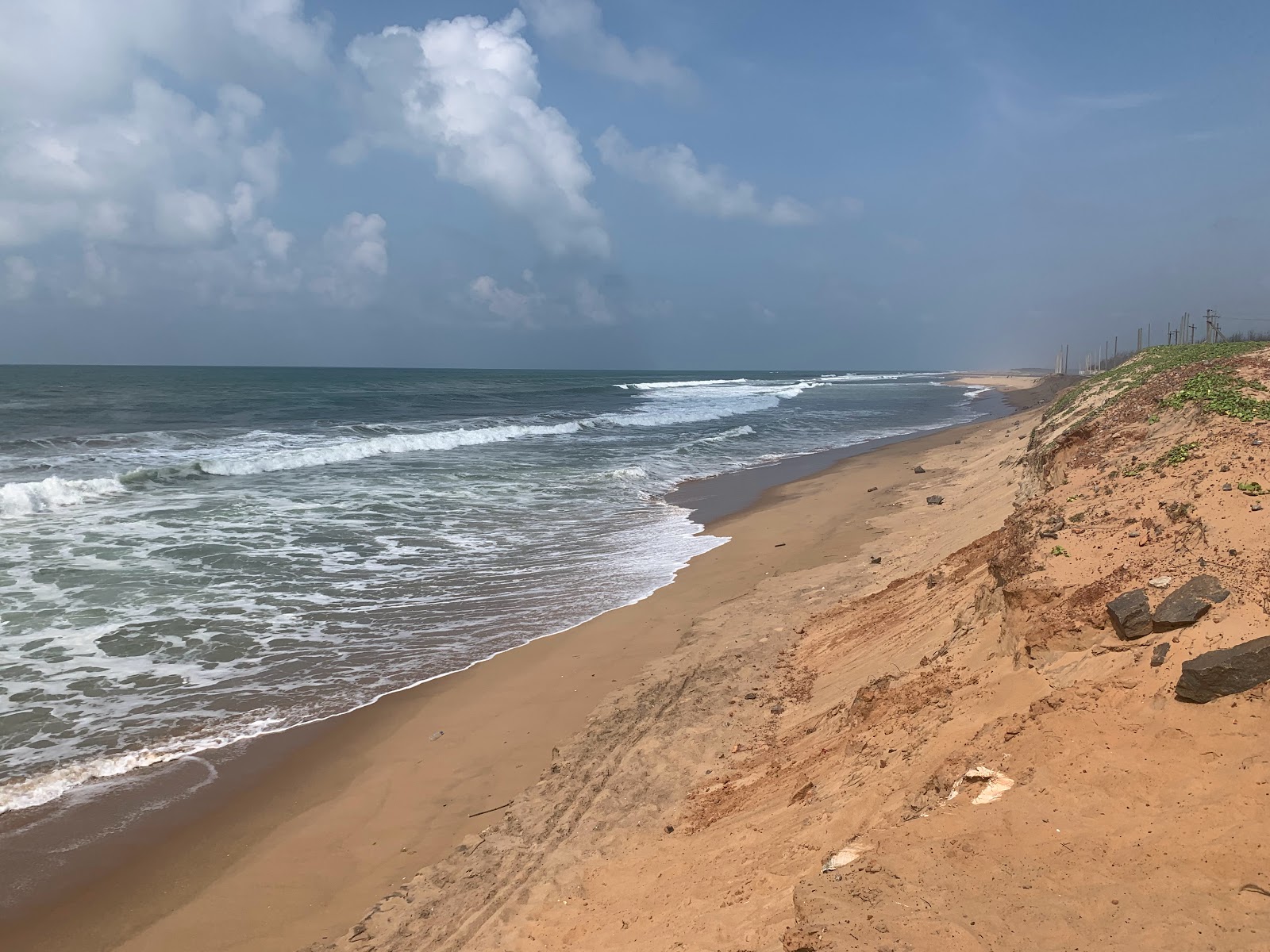 Balukhand Konark Wildlife Sanctuary Odisha India