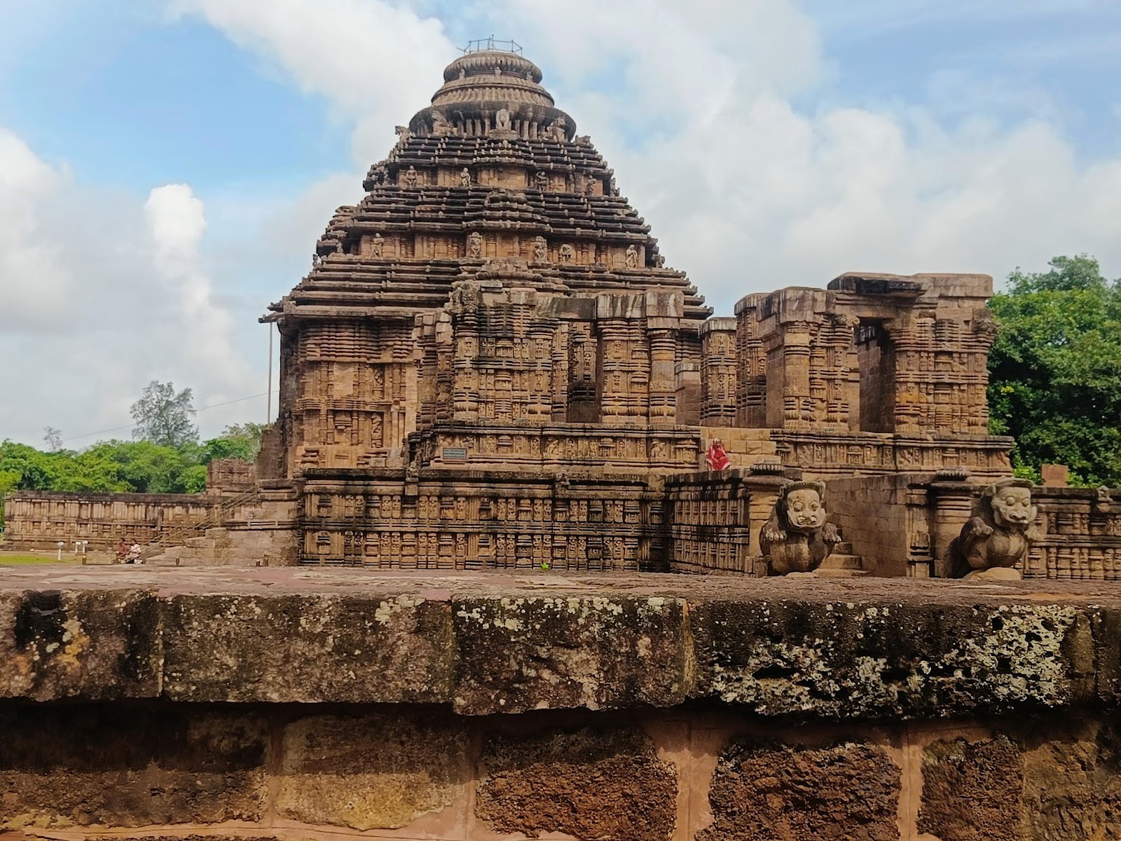 Balukhand Konark Wildlife Sanctuary Odisha India