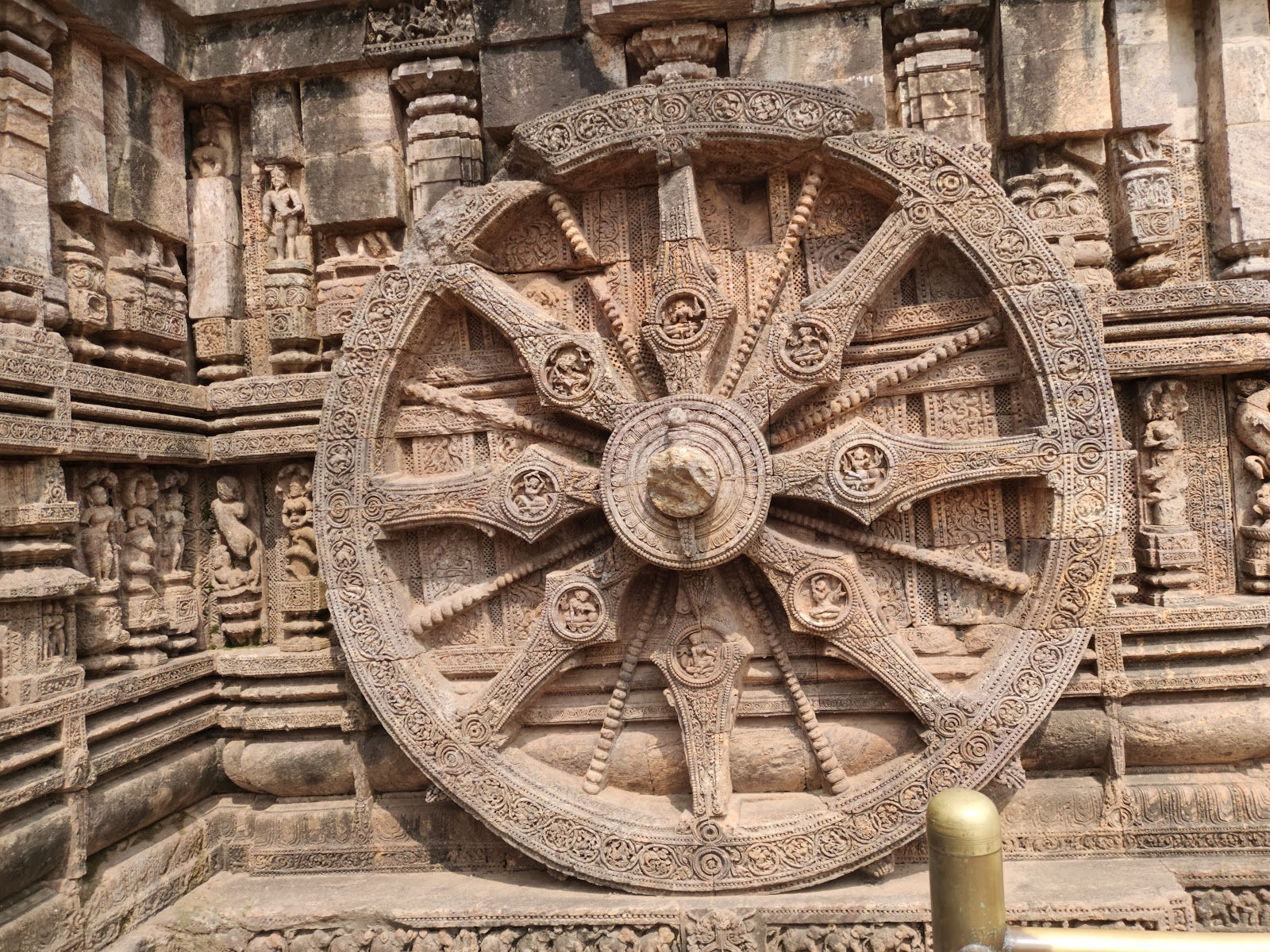 Balukhand Konark Wildlife Sanctuary Odisha India