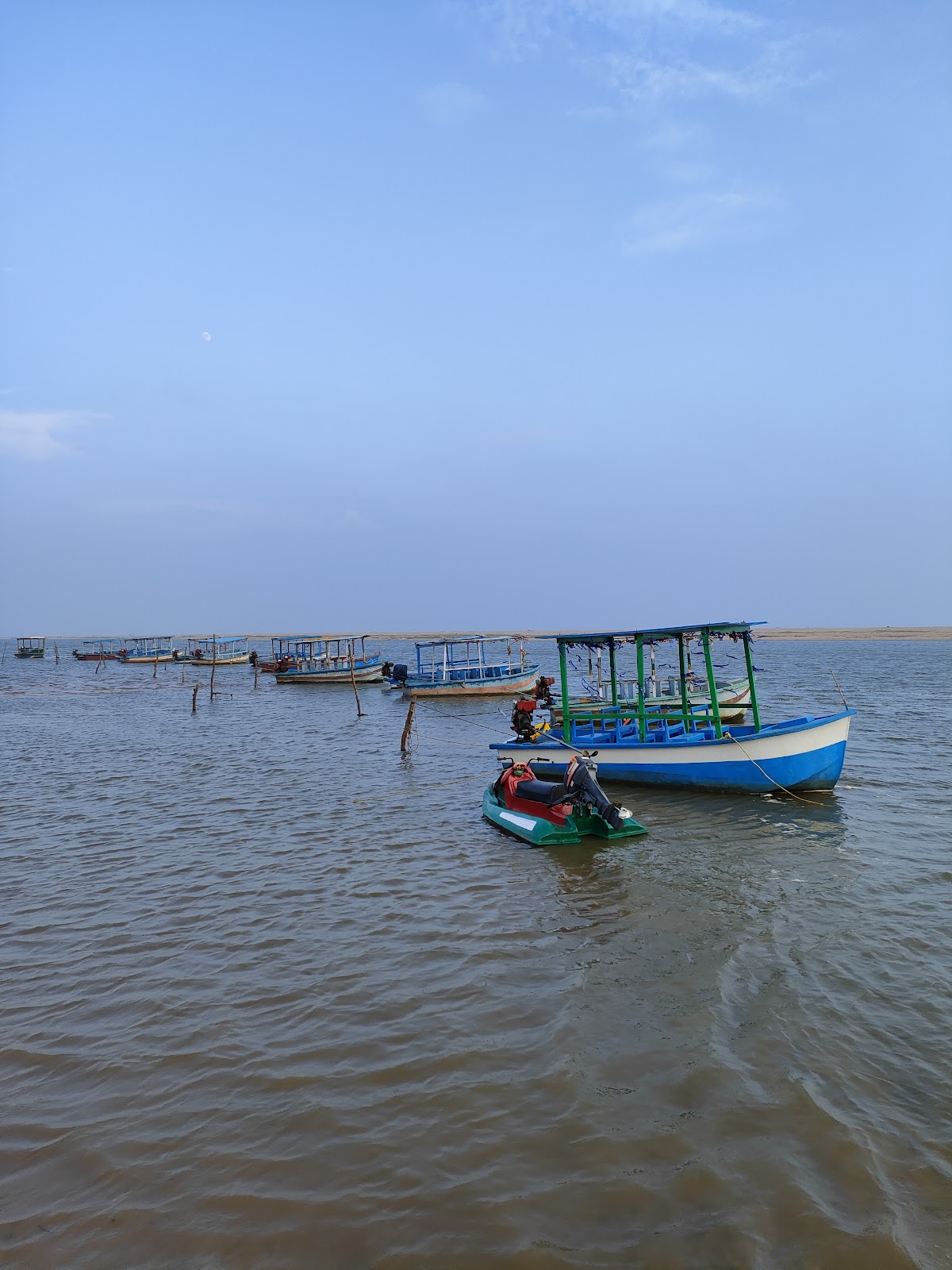 Balukhand Konark Wildlife Sanctuary Odisha India