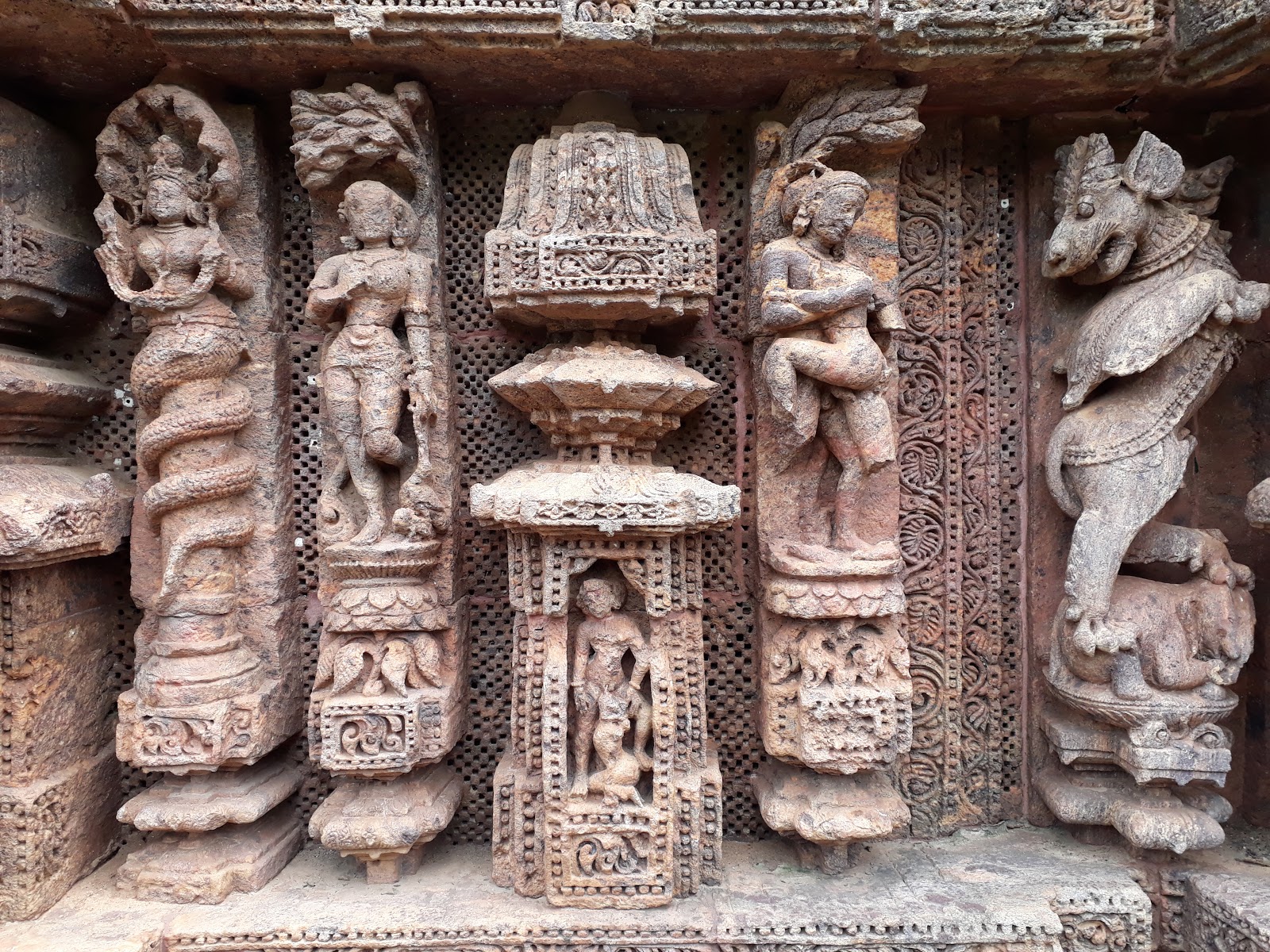 Balukhand Konark Wildlife Sanctuary Odisha India