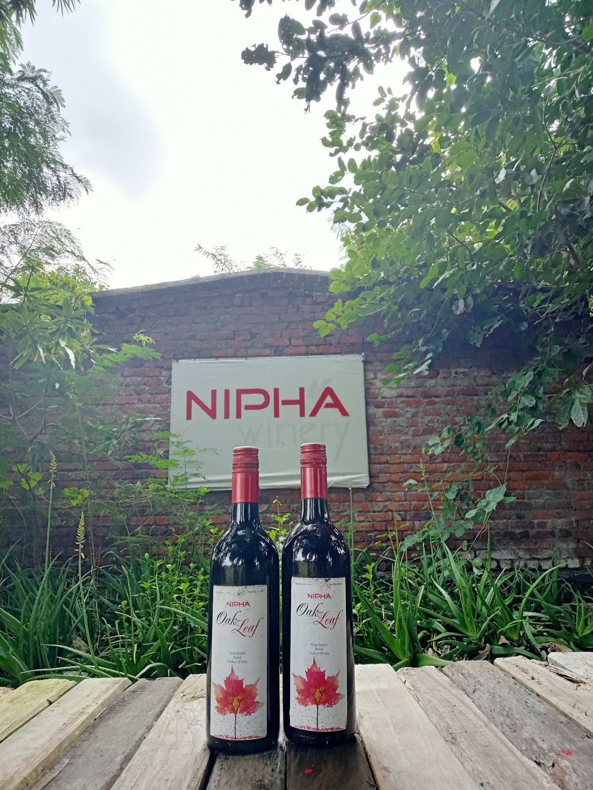 Grapes Festival Grounds