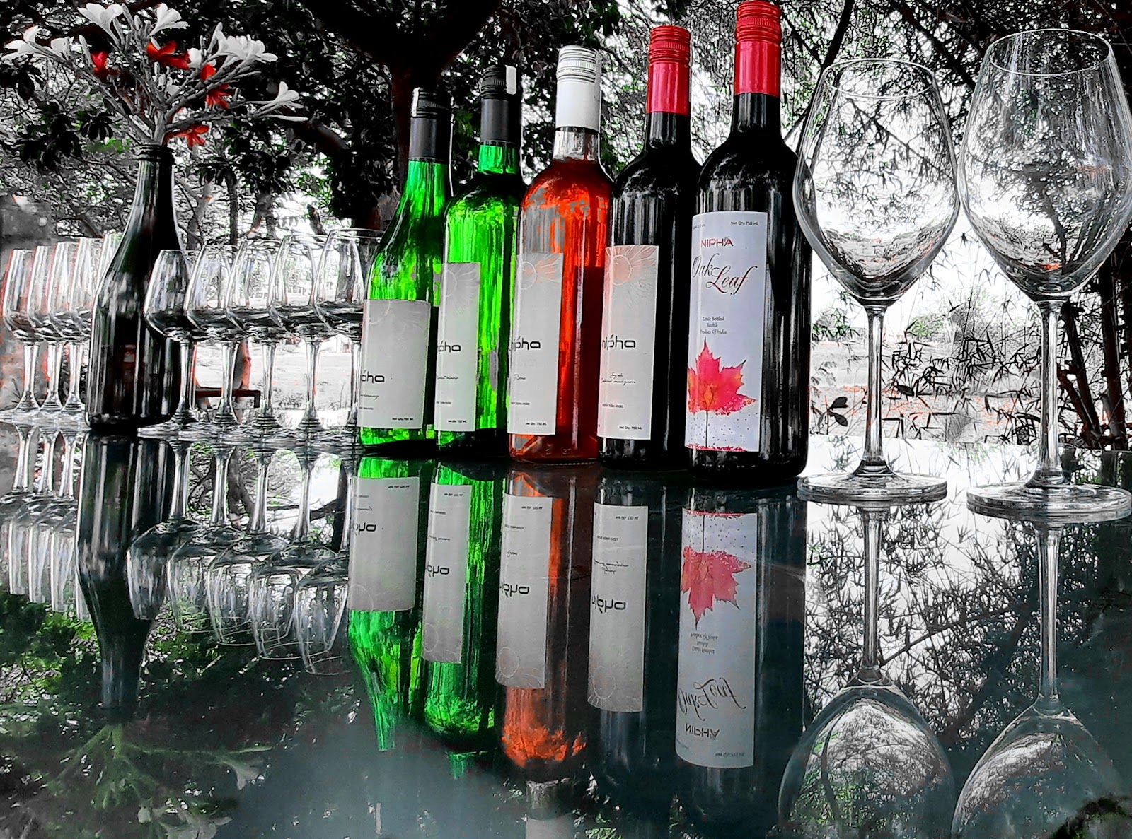 Grapes Festival Grounds