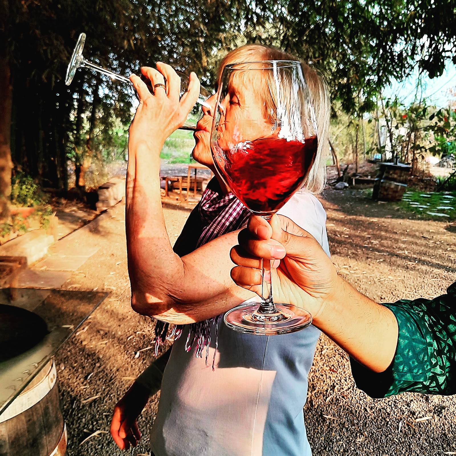 Grapes Festival Grounds