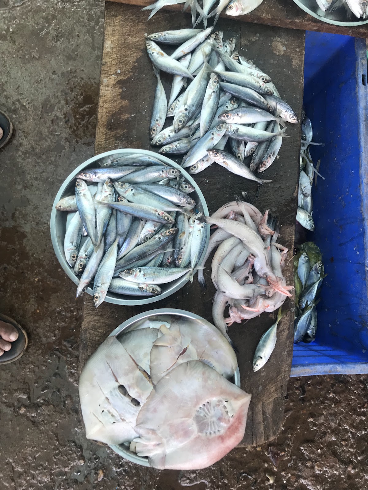 Local Fish Market Nivati