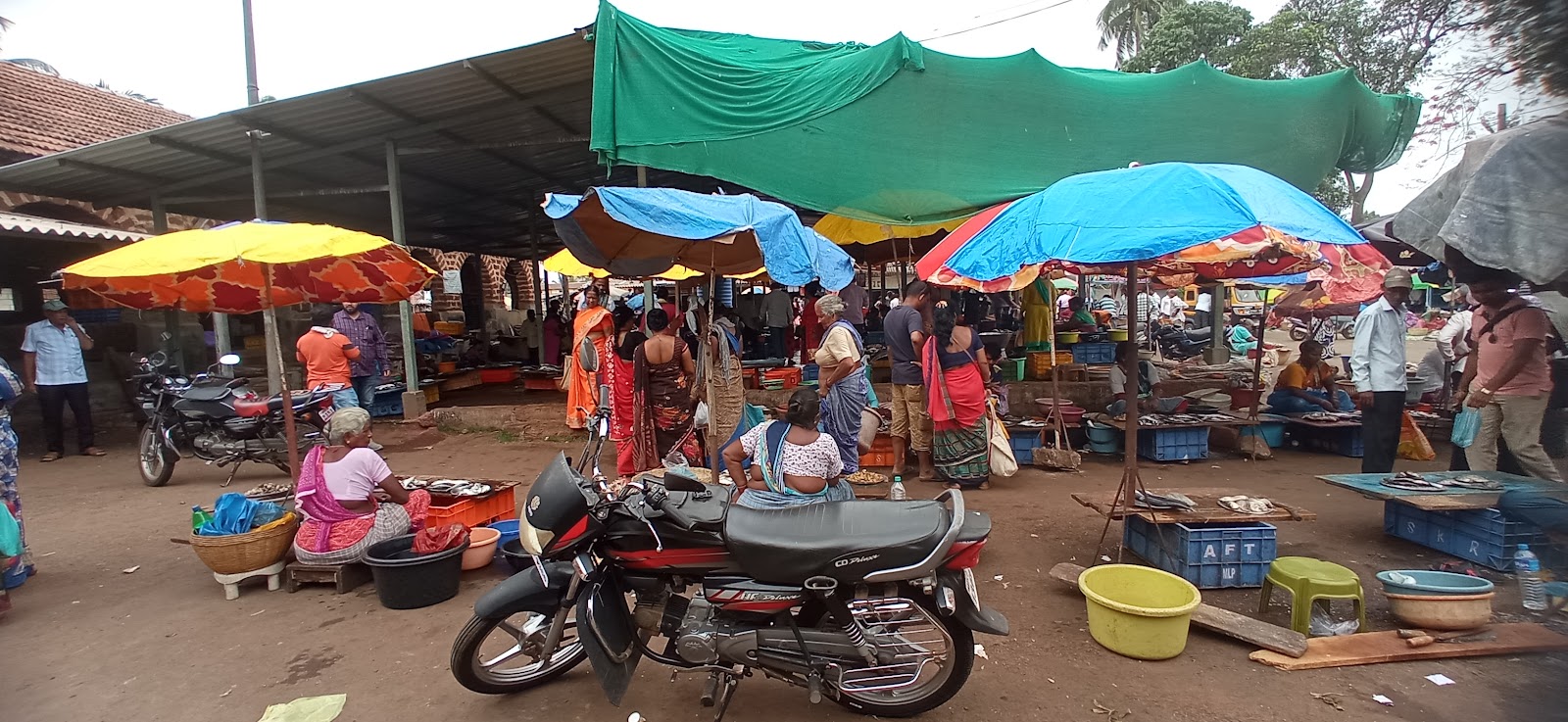 Local Fish Market Nivati