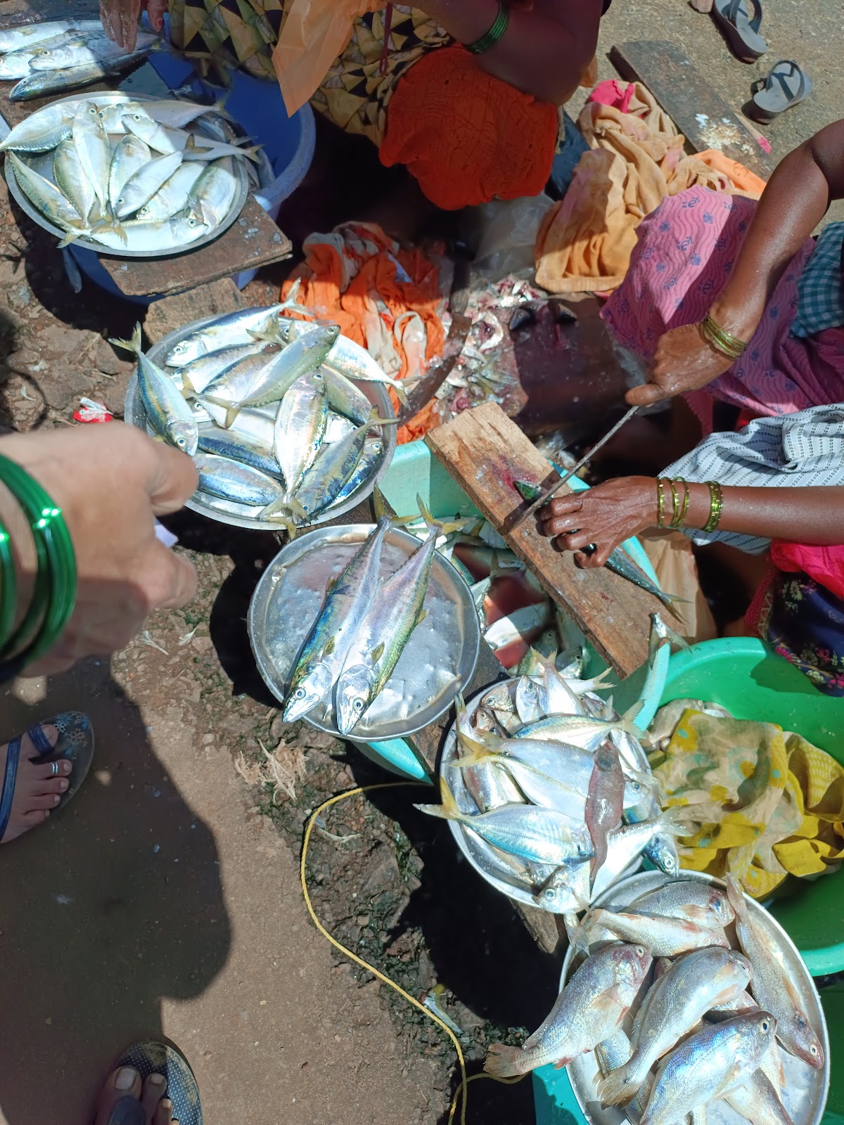 Local Fish Market Nivati