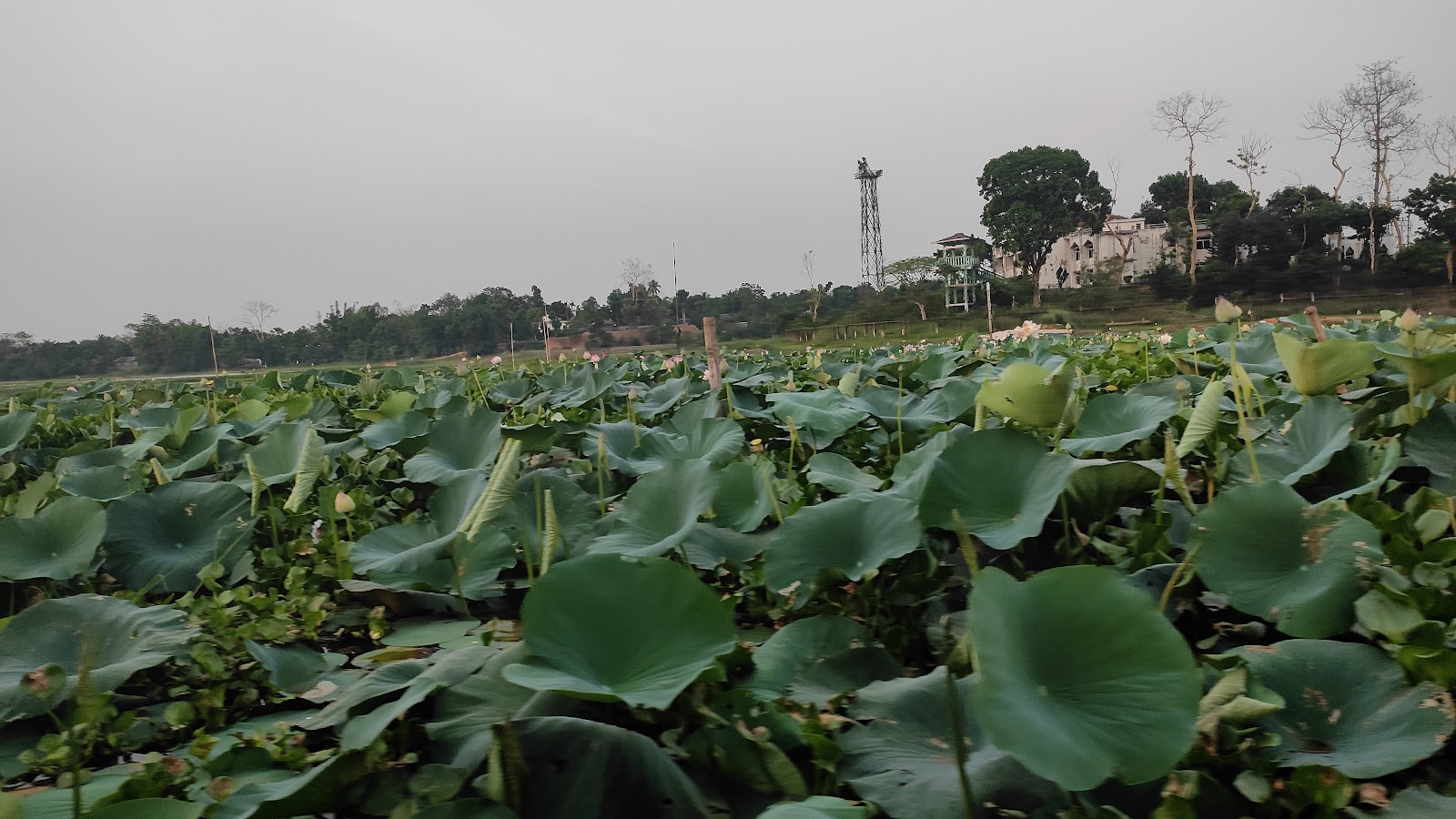 Rudra Sagar Lake