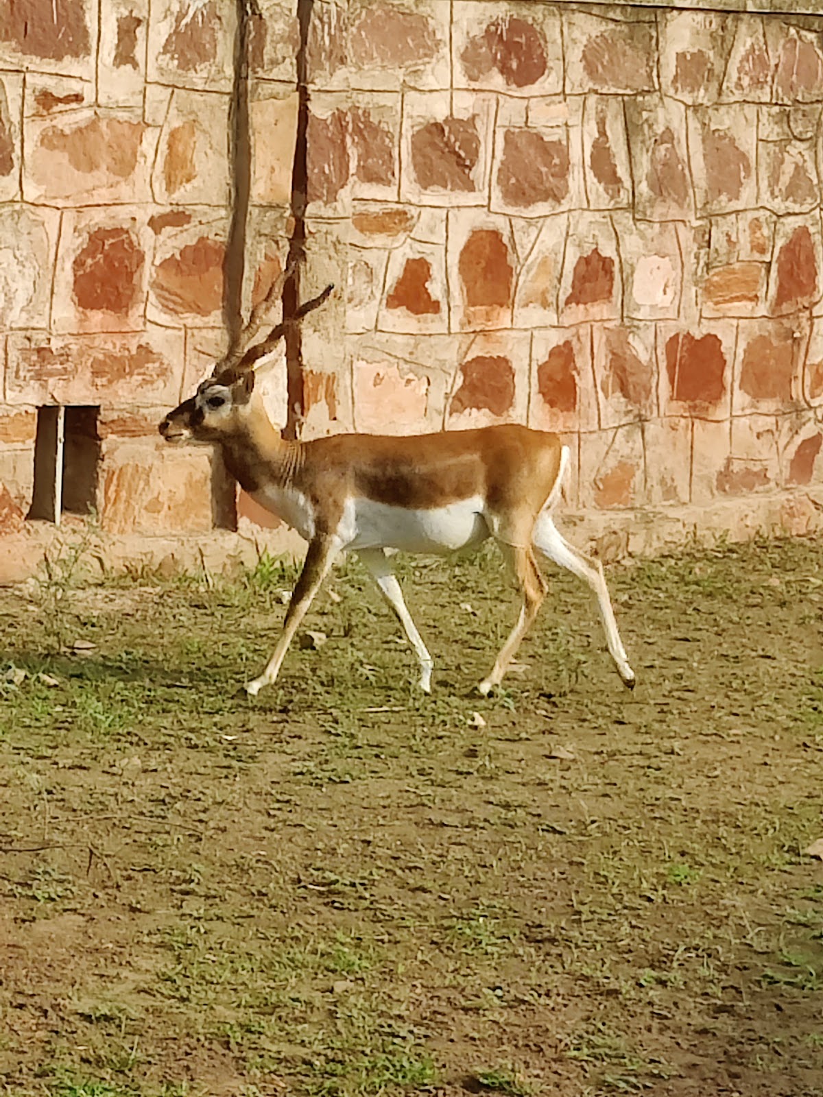 Wildlife Sanctuary Visit