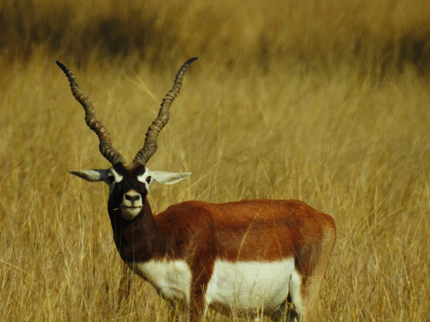 Wildlife Sanctuary Visit