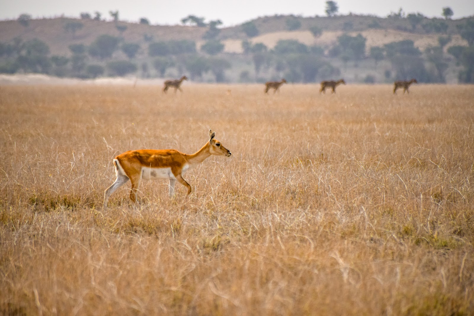 Wildlife Sanctuary Visit