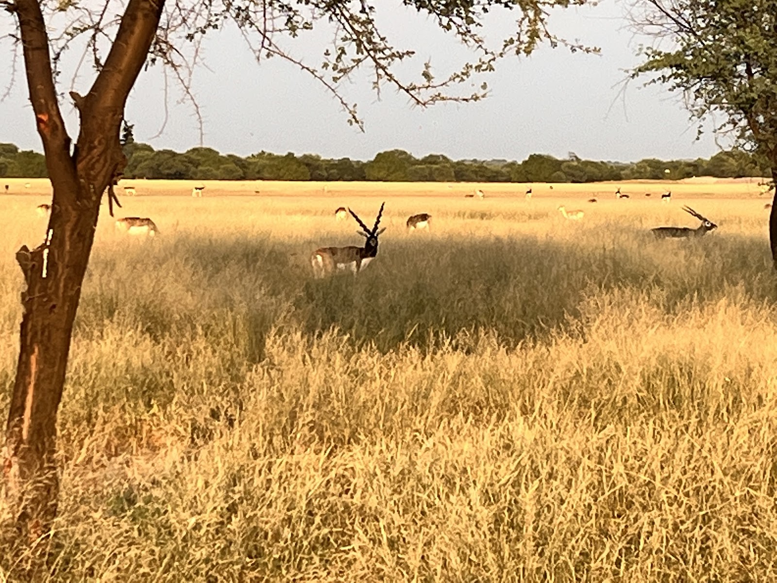 Wildlife Sanctuary Visit