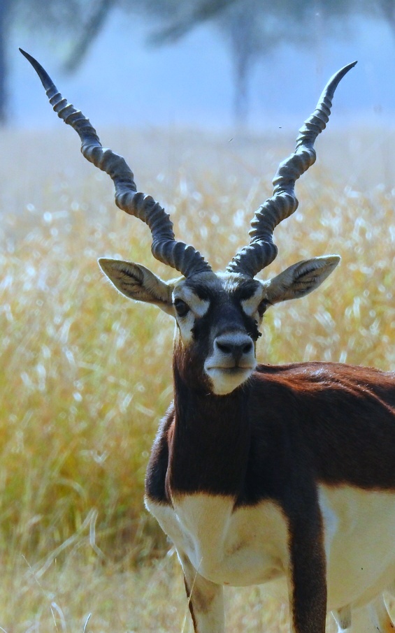 Wildlife Sanctuary Visit