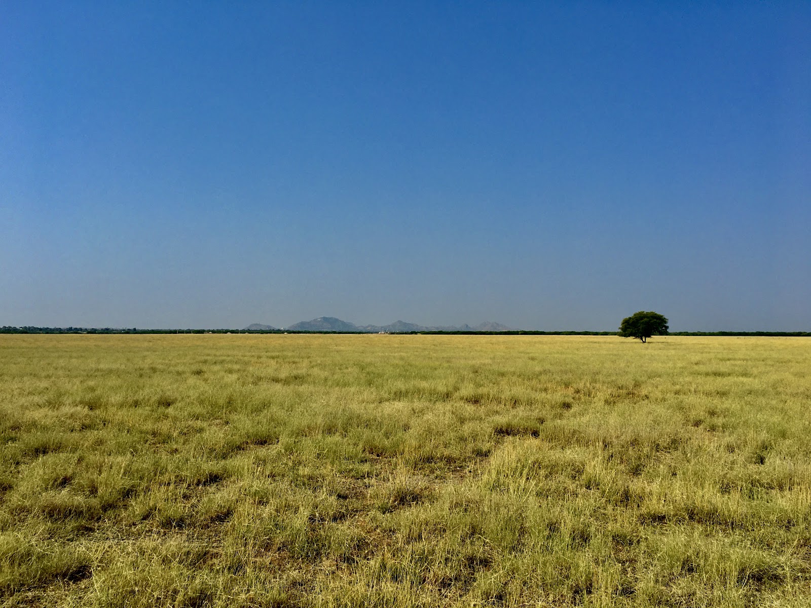 Wildlife Sanctuary Visit