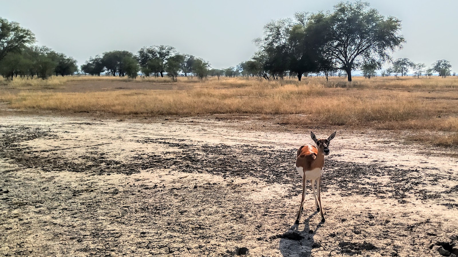Wildlife Sanctuary Visit