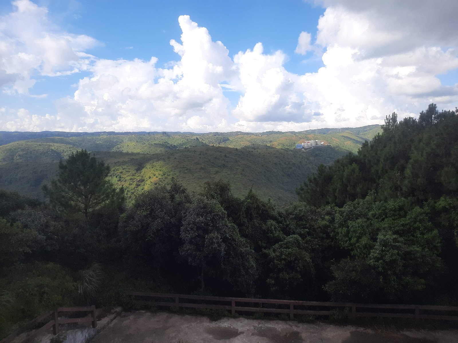 Mawphlang Sacred Forest