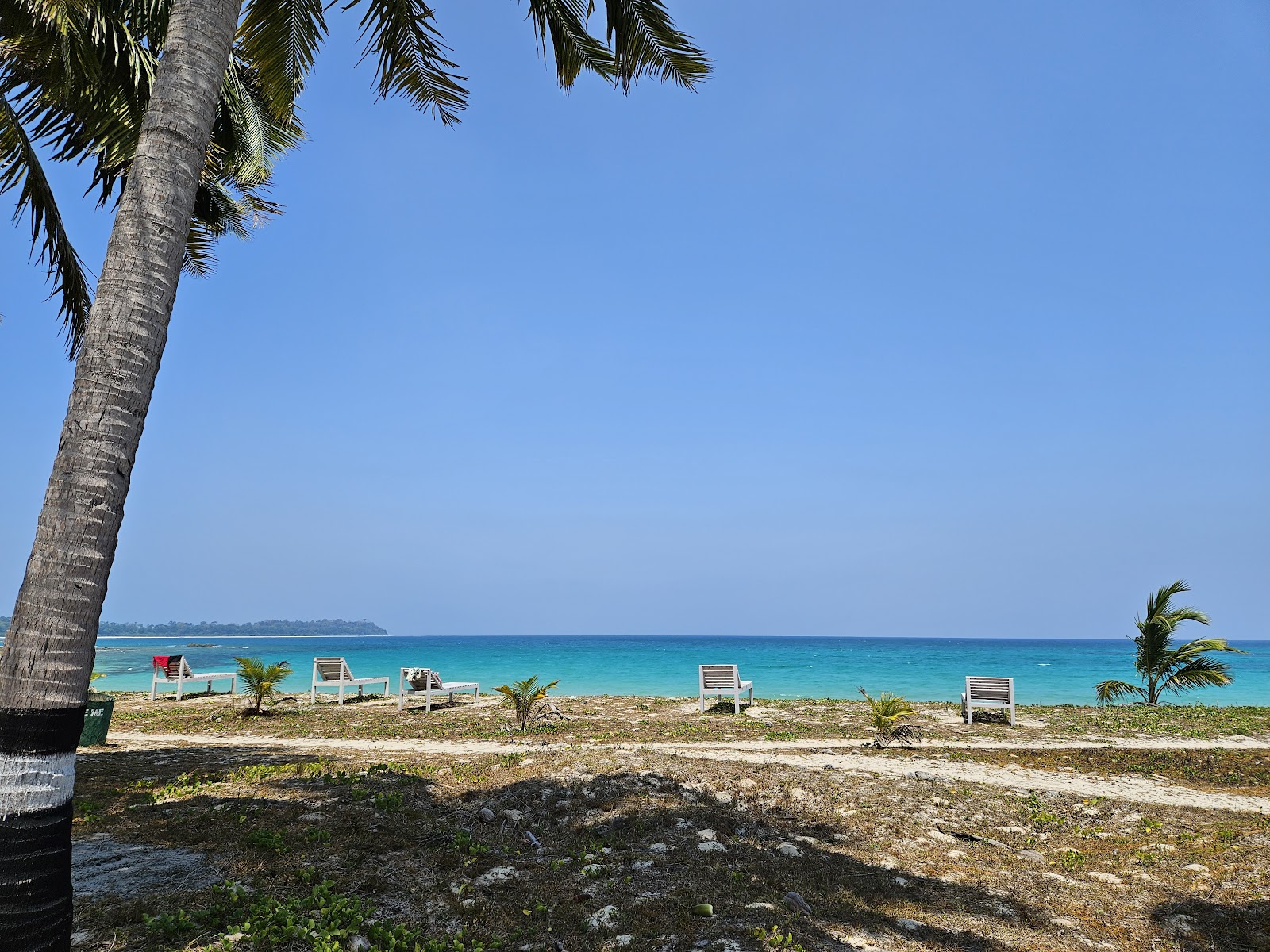 Ross Creek Viewpoint