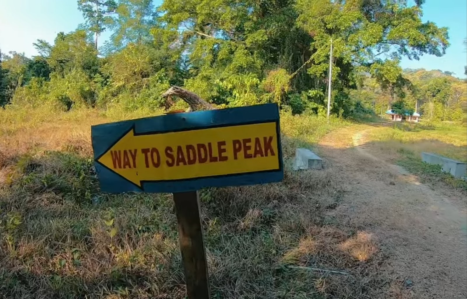 Saddle Peak