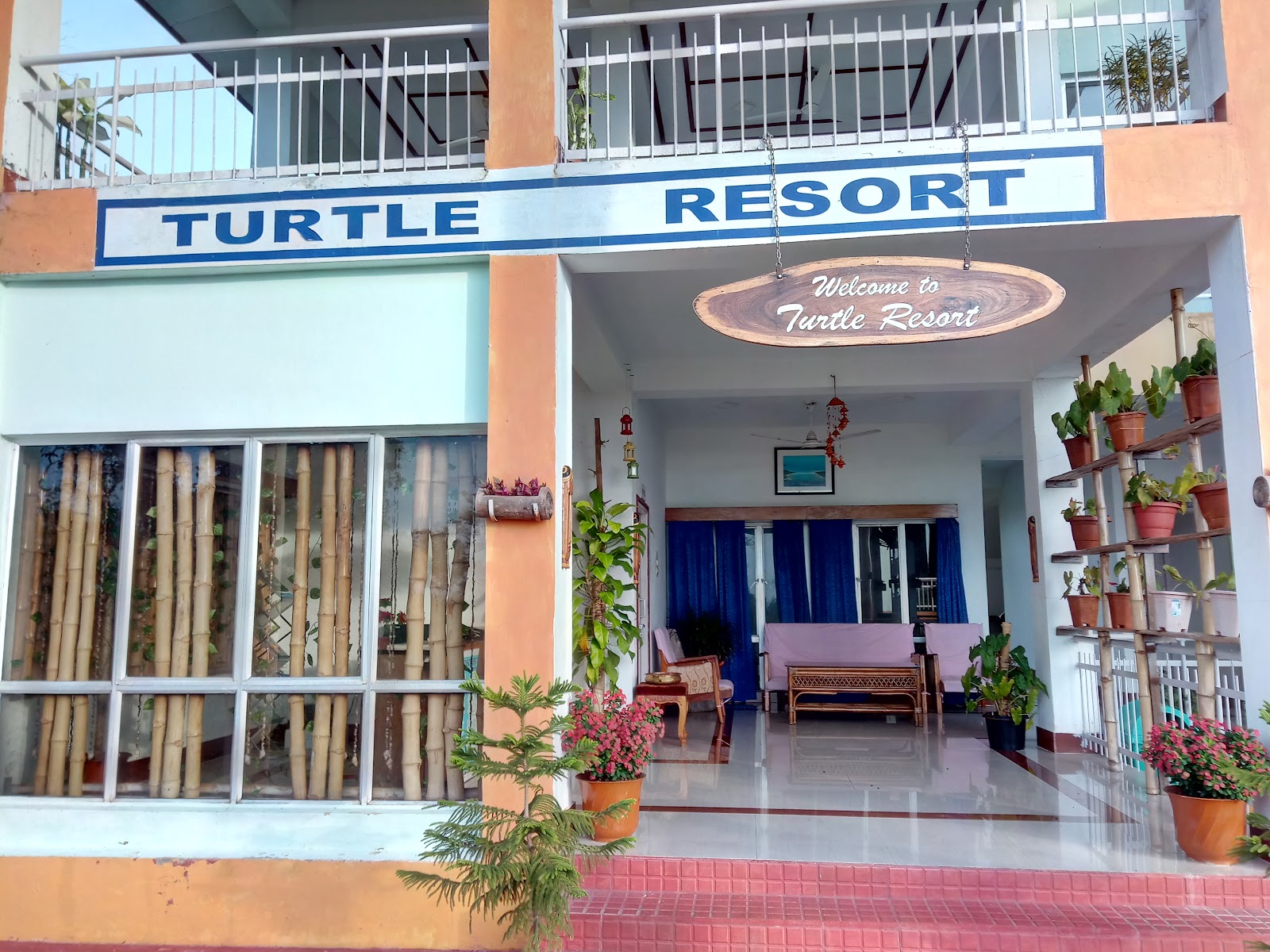 Turtle Nesting Sites