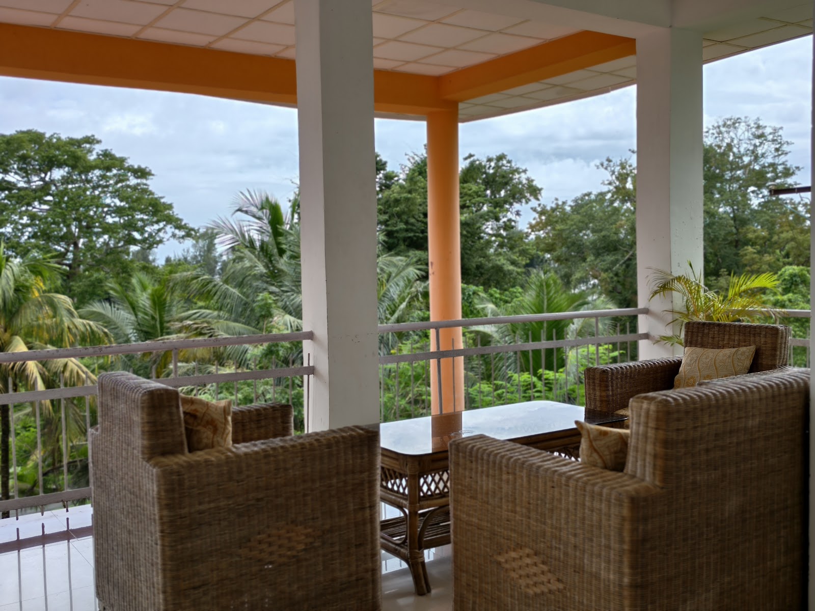 Turtle Nesting Sites