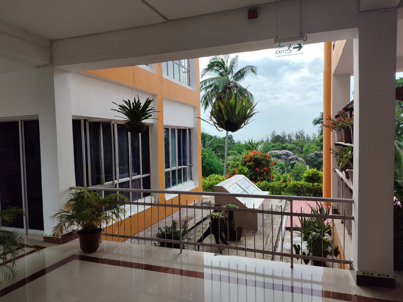 Turtle Nesting Sites