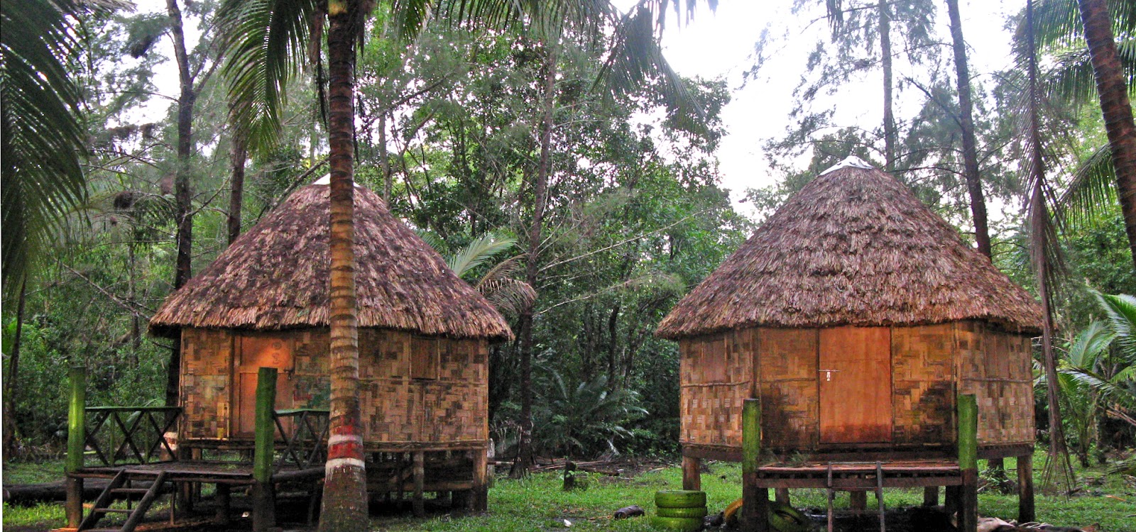 Mayabunder Mangroves