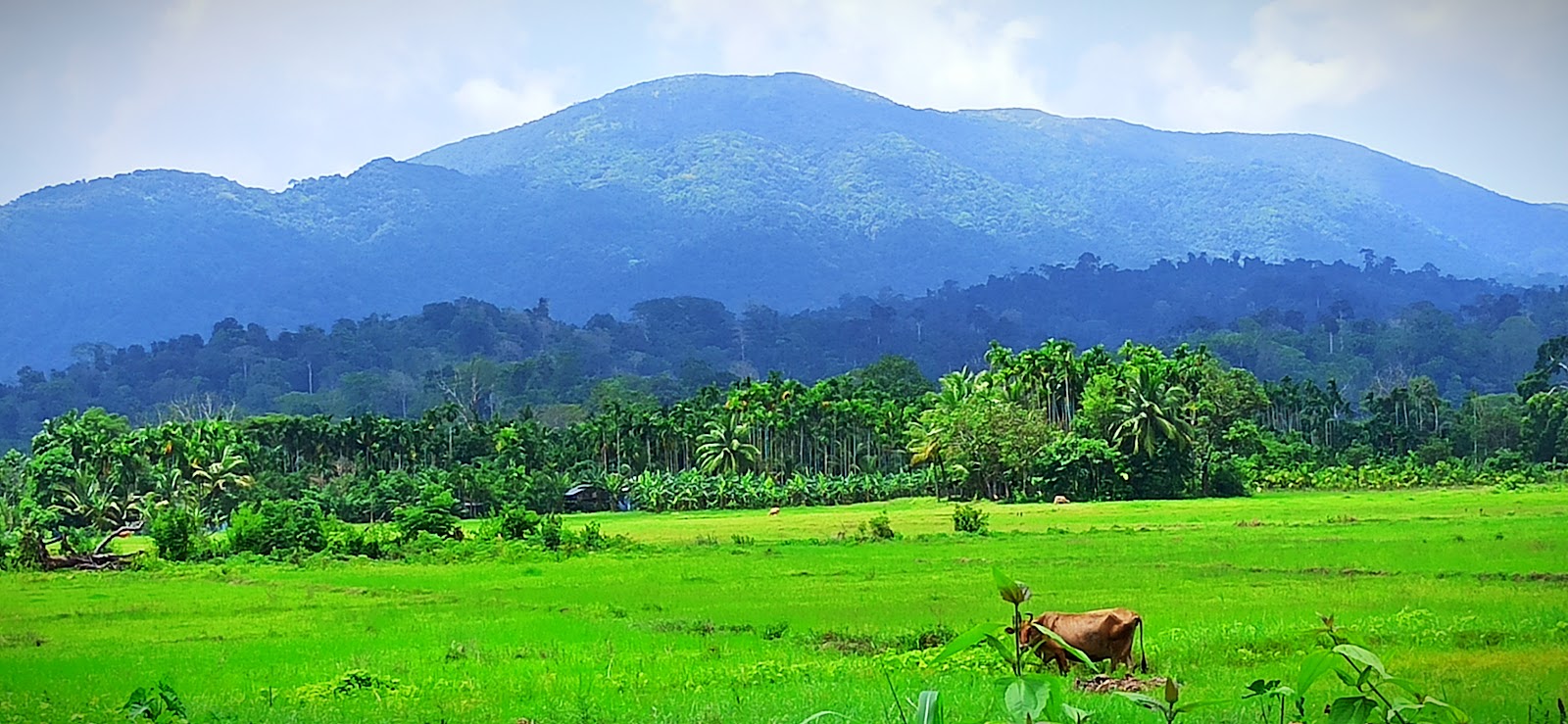 Saddle Peak National Park