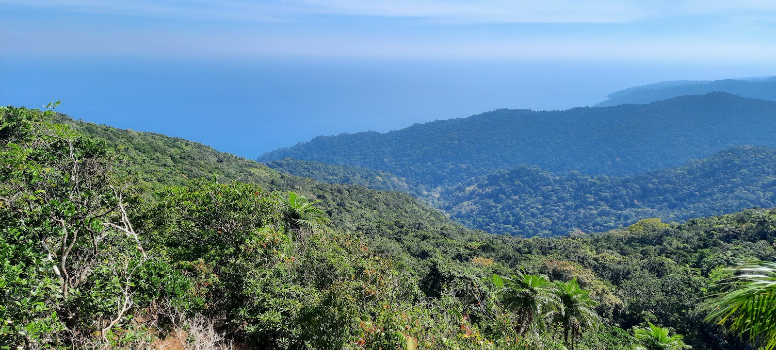 Saddle Peak National Park