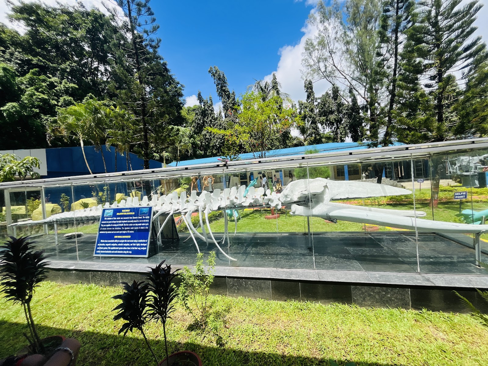 Educational Viewing (Port Blair Institutions)