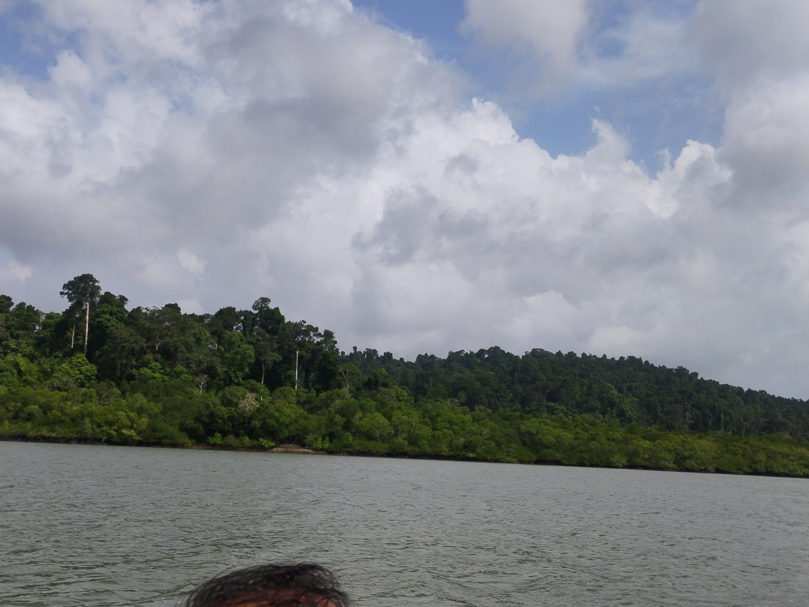 Protected Wildlife Habitat Around Island