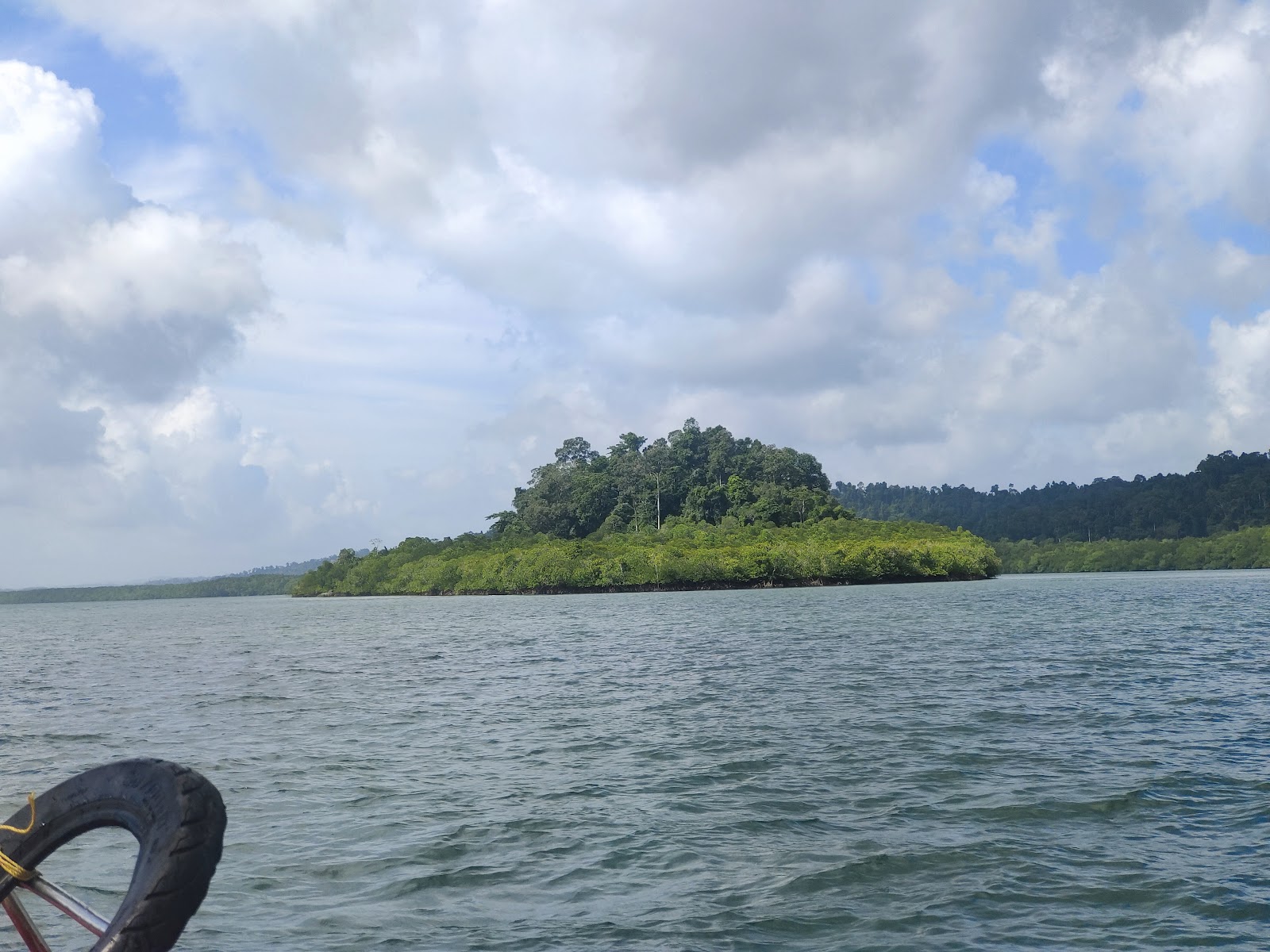 Protected Wildlife Habitat Around Island
