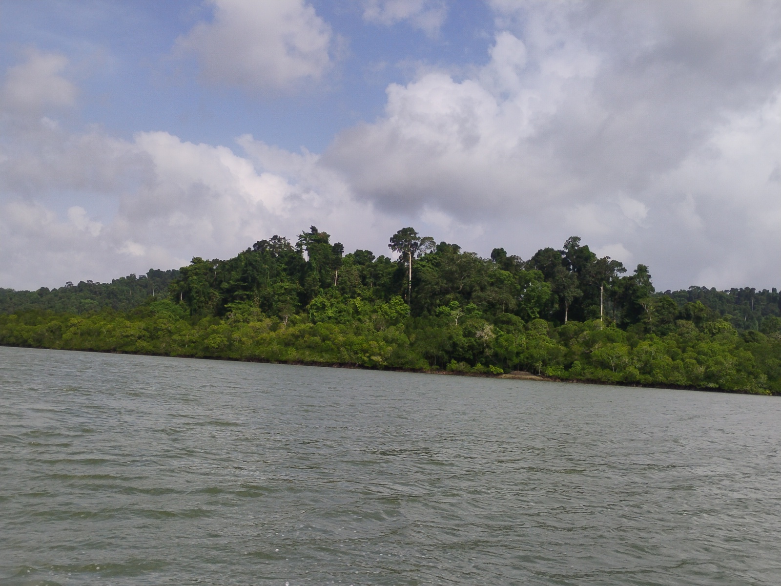 Protected Wildlife Habitat Around Island