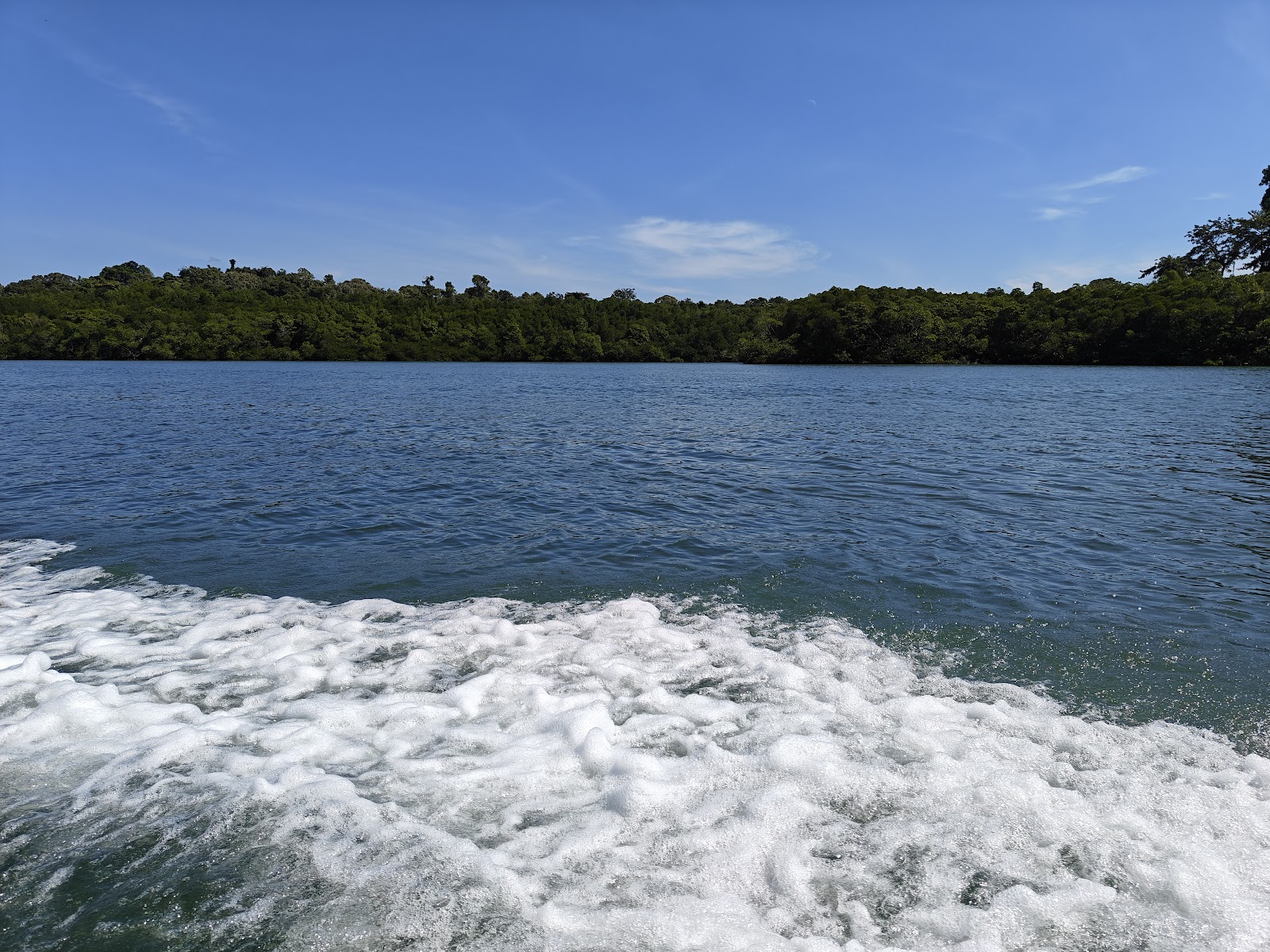 Protected Wildlife Habitat Around Island