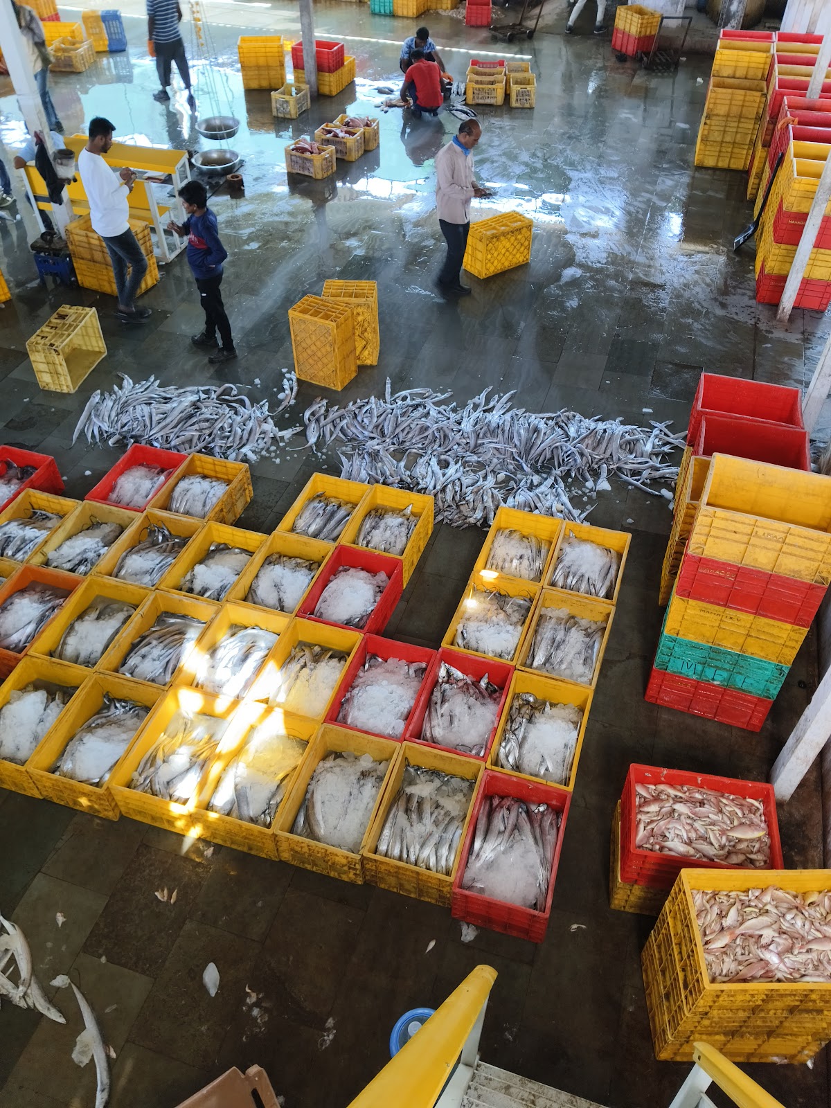 Local Fish Market Okha