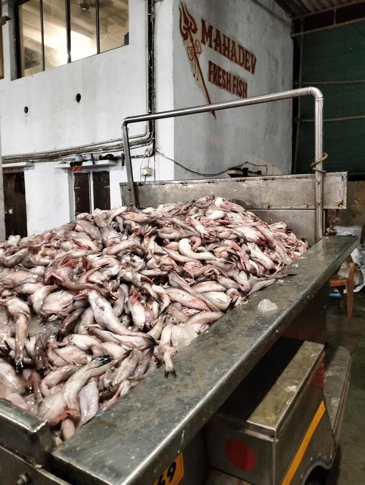 Local Fish Market Okha