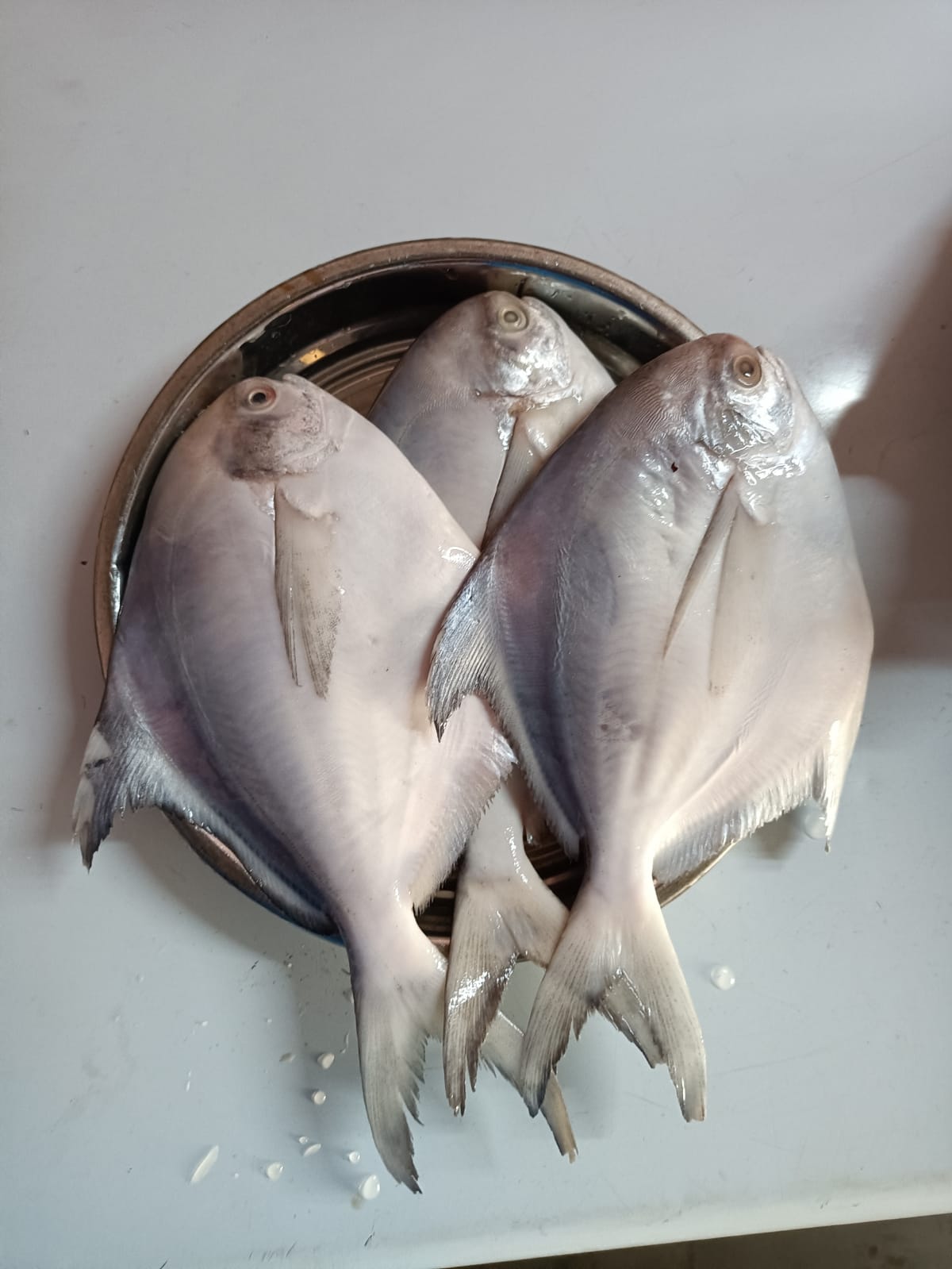 Local Fish Market Okha