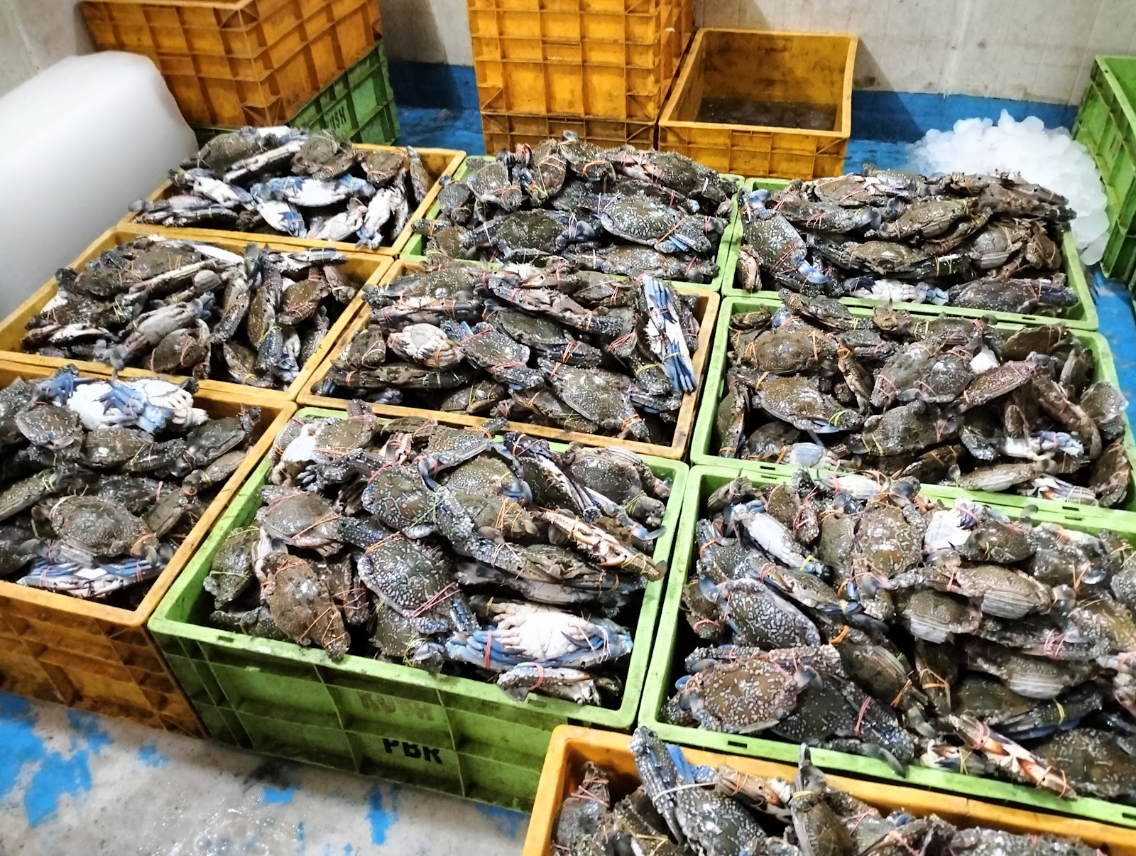 Local Fish Market Okha