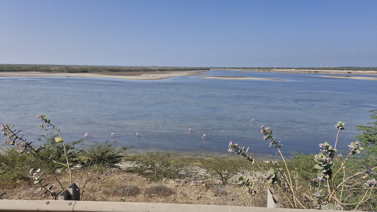 Tidal Flats and Birding Patches