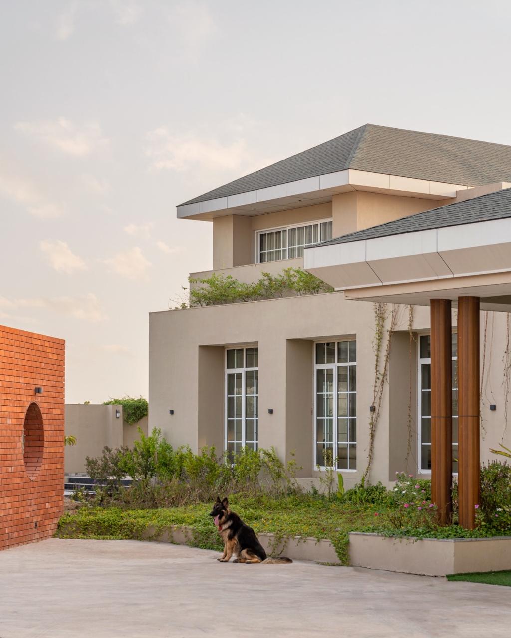 Agriculture Fields Viewpoint