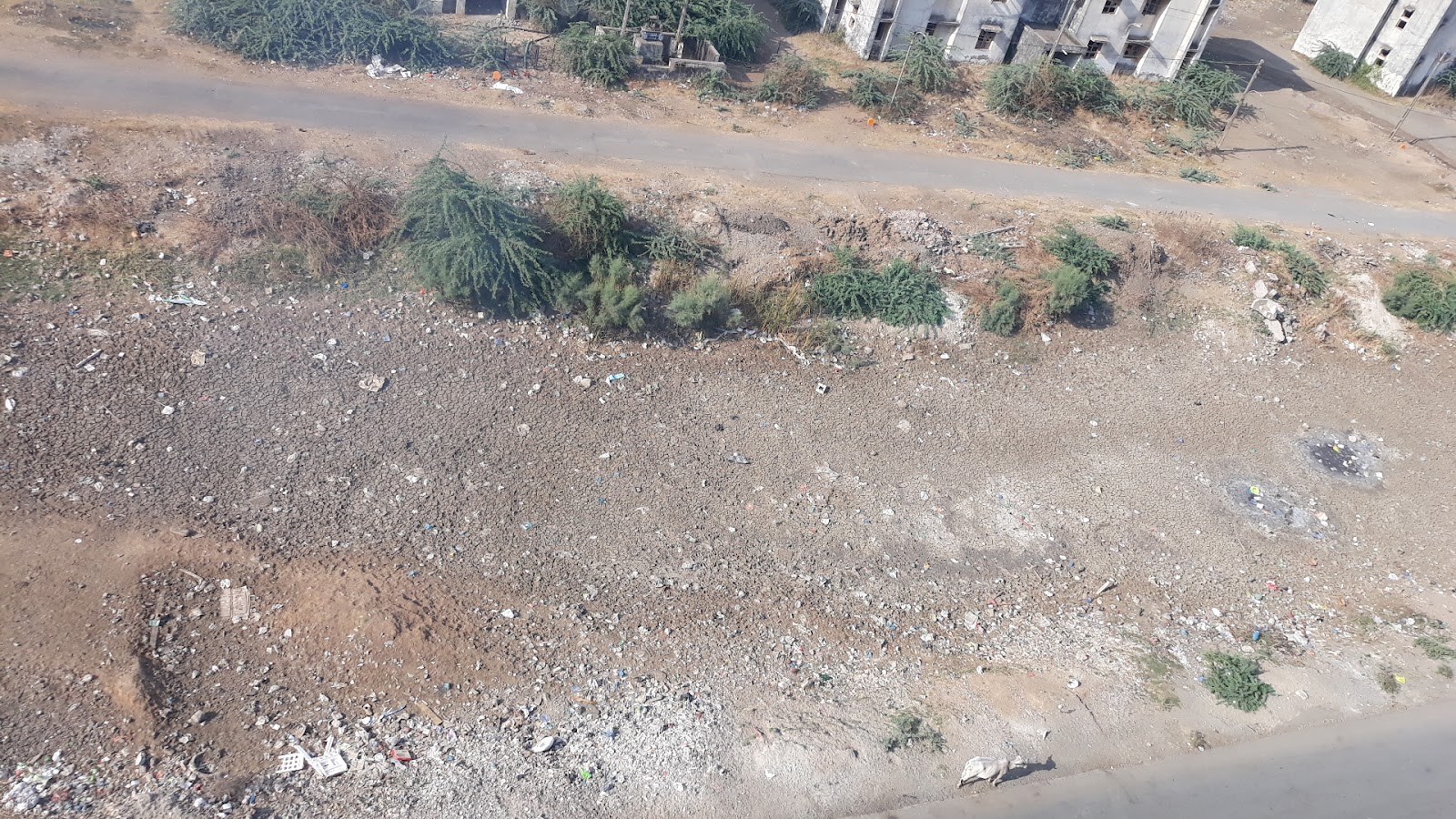 Olpad Mangrove Wetlands