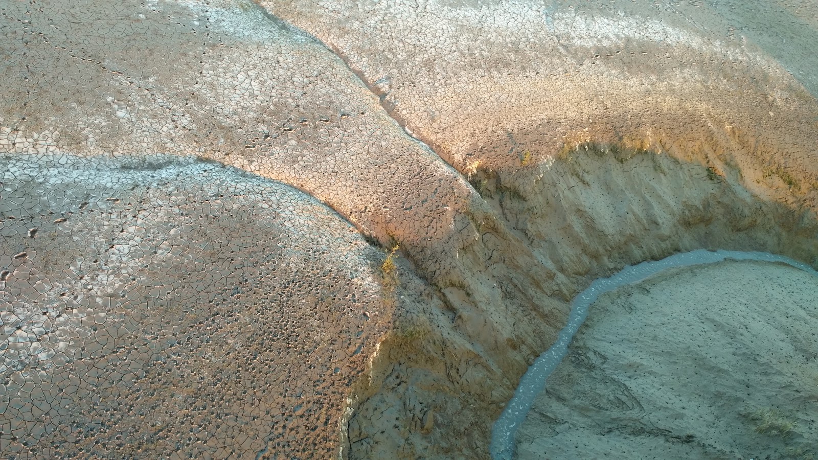 Olpad Mangrove Wetlands