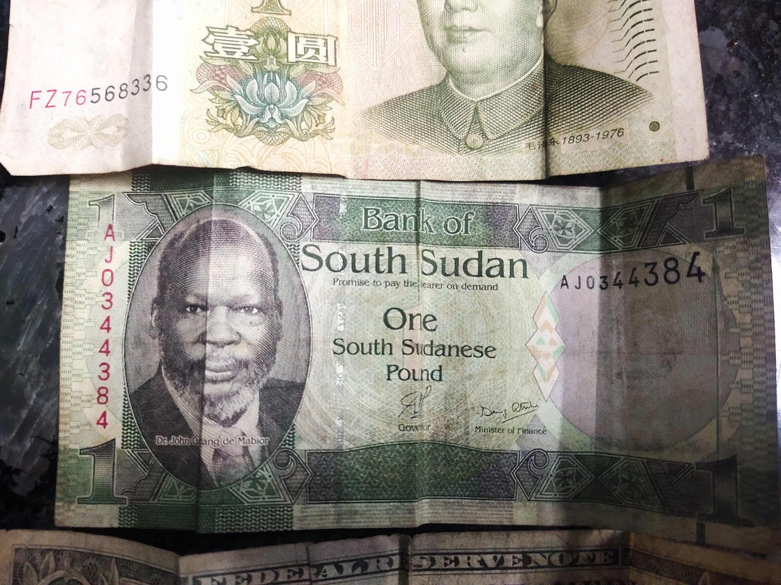 Olpad Mangrove Wetlands