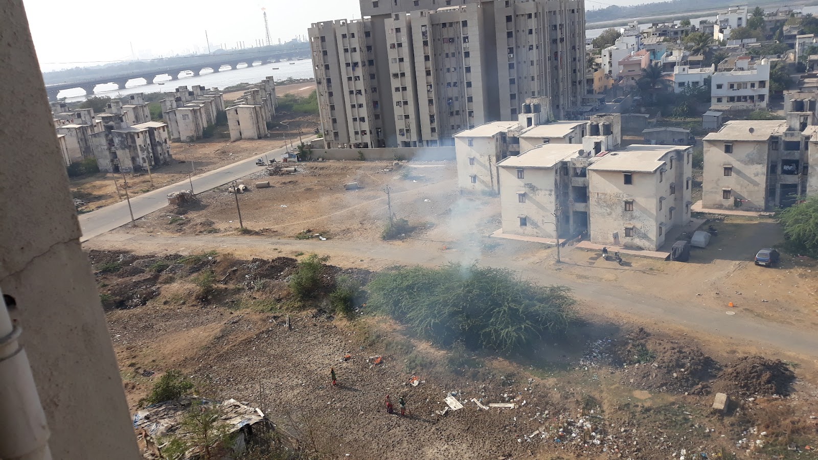Olpad Mangrove Wetlands