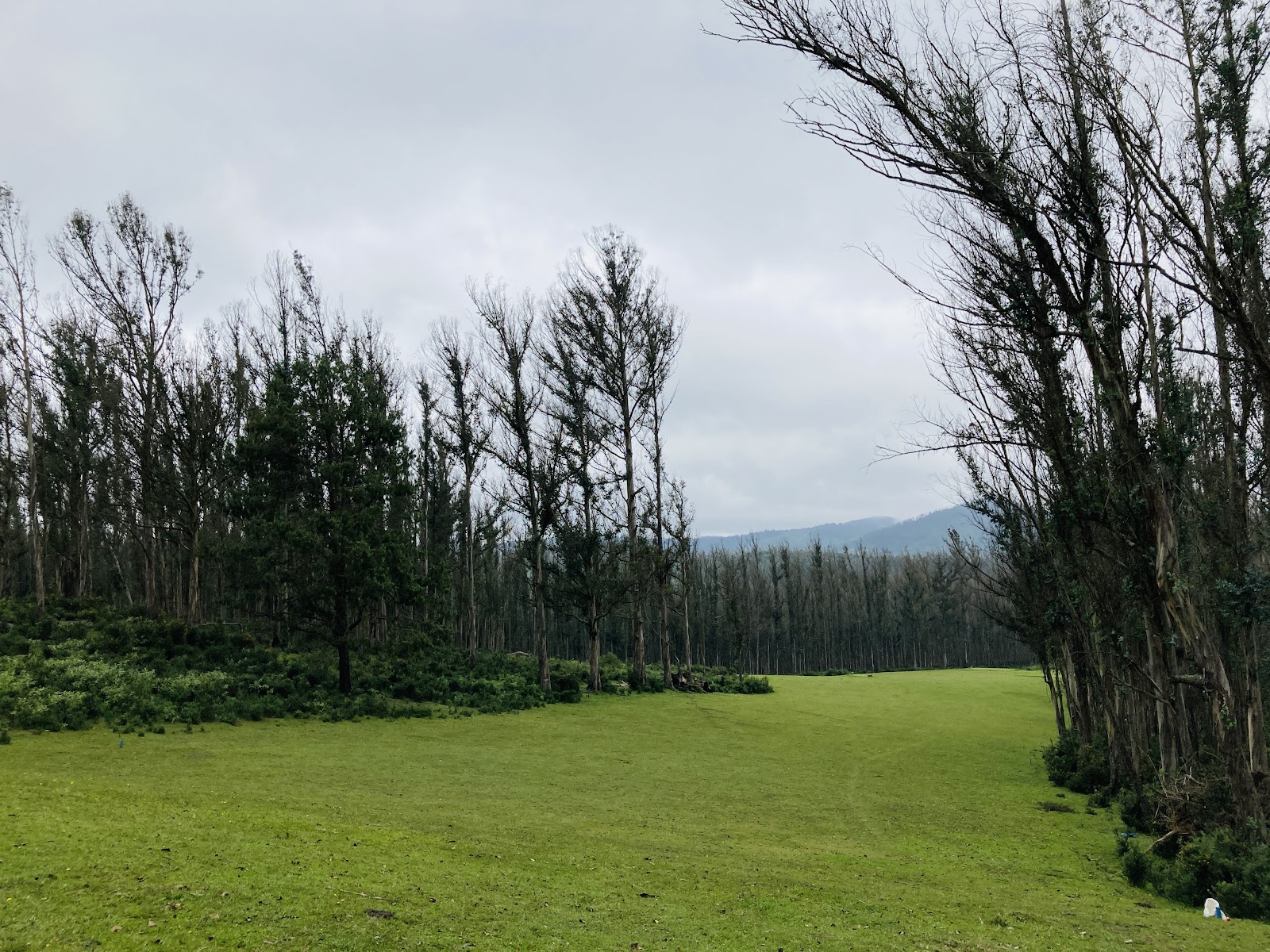 Ooty Golf Course