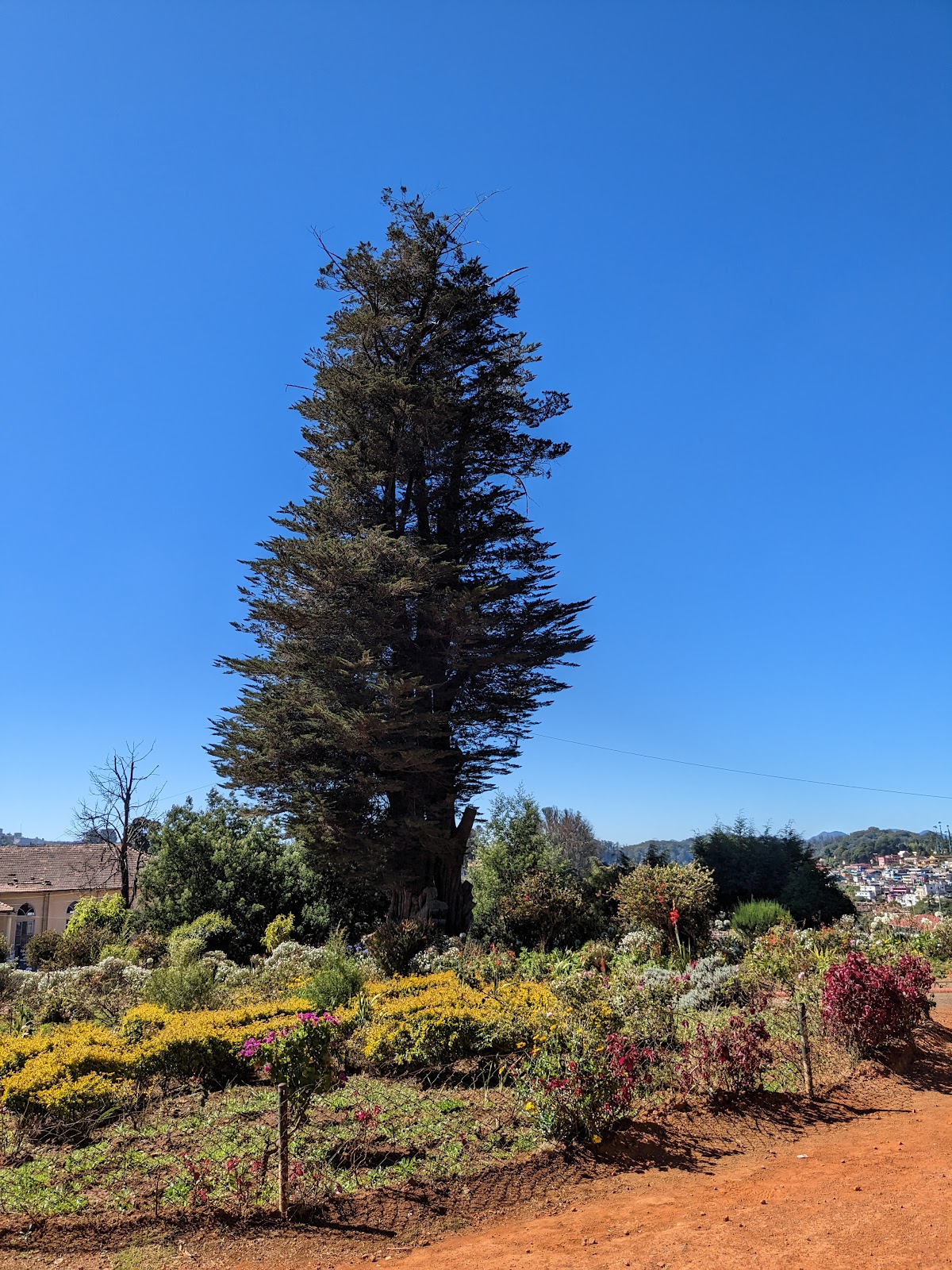 St. Stephen's Church