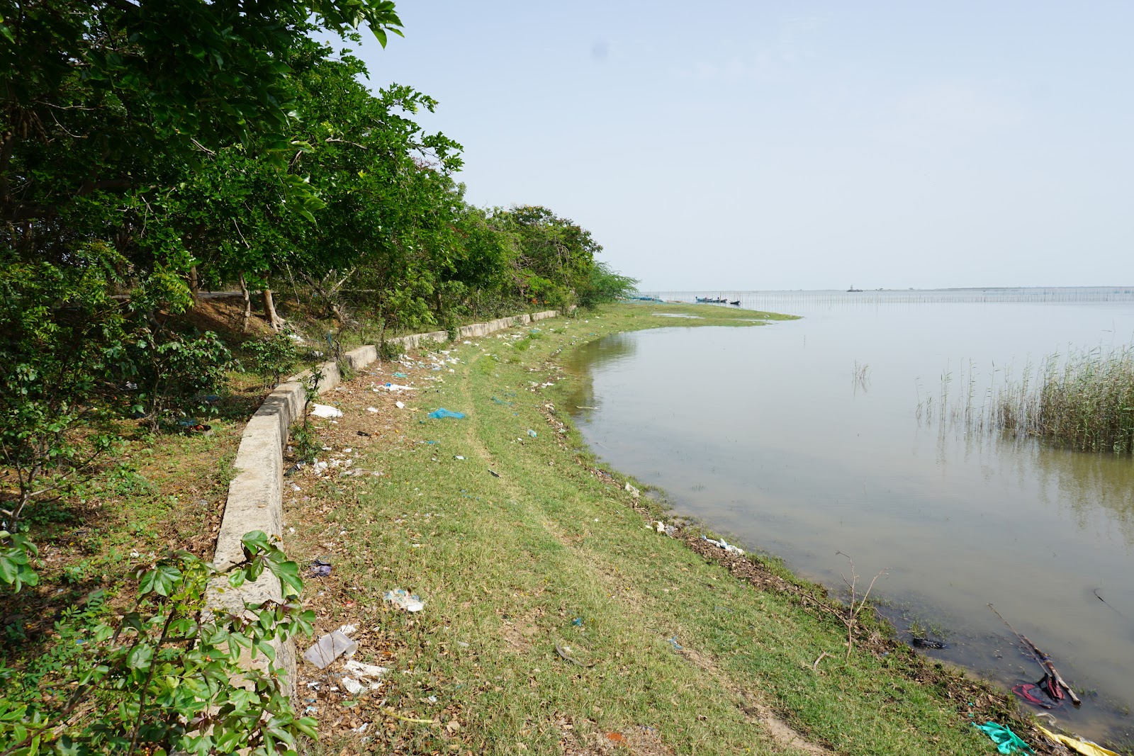 Chilika Lake