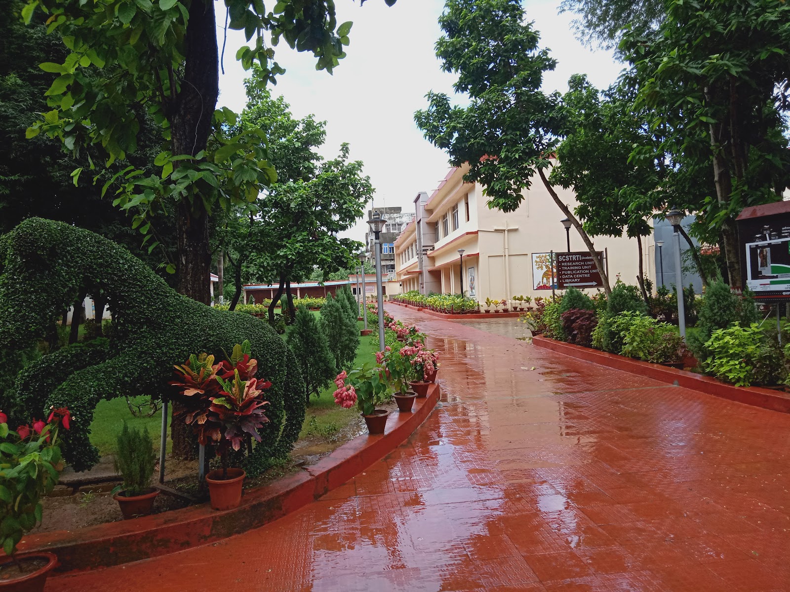 Museum of Tribal Arts & Artifacts