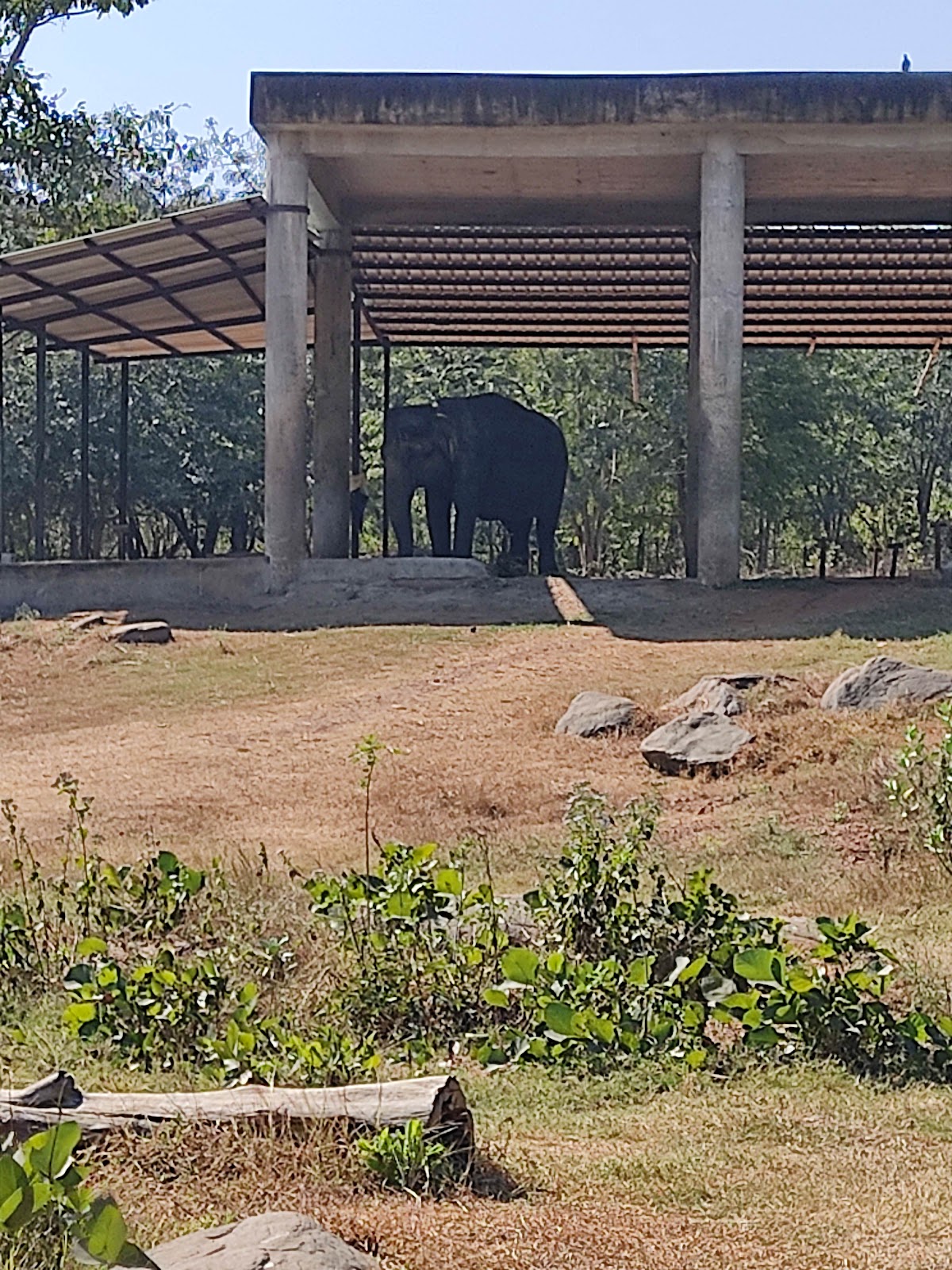Nandankanan Zoological Park