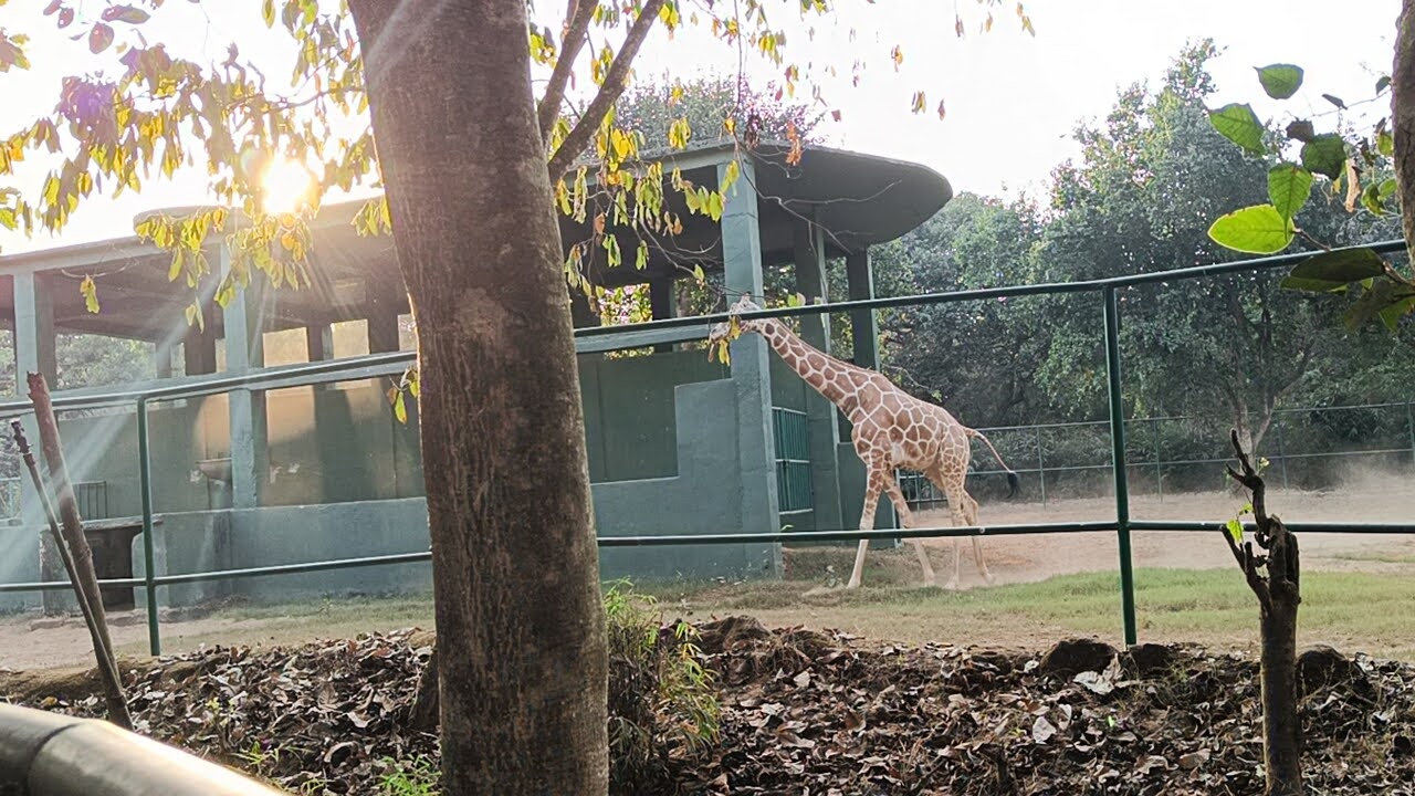 Nandankanan Zoological Park