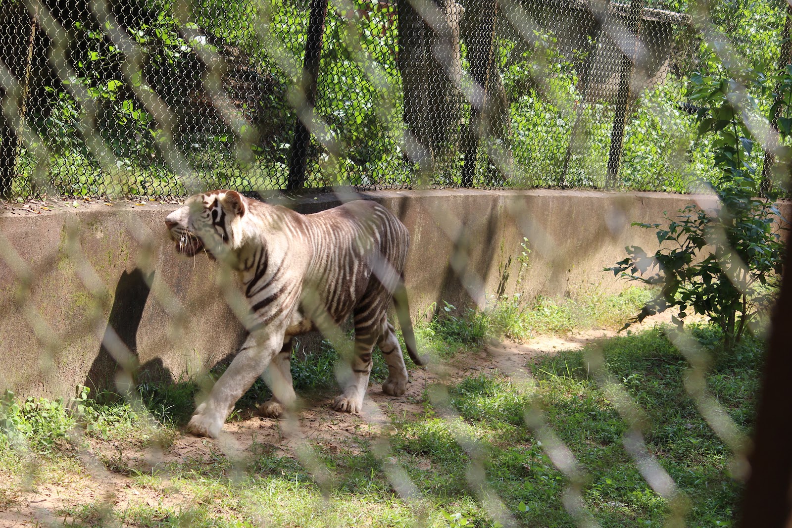 Nandankanan Zoological Park
